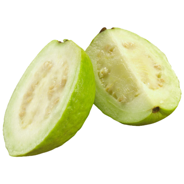 Guava-15