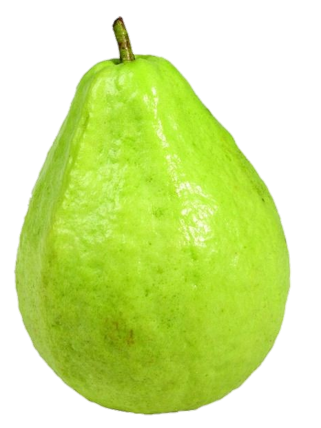 Single Guava Png