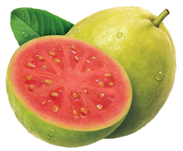 Guava Illustration Png