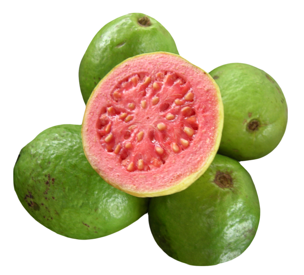 Guava Fruit Png