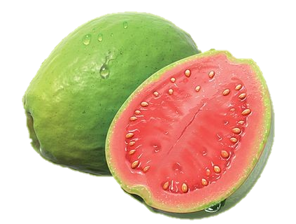 Guava-21