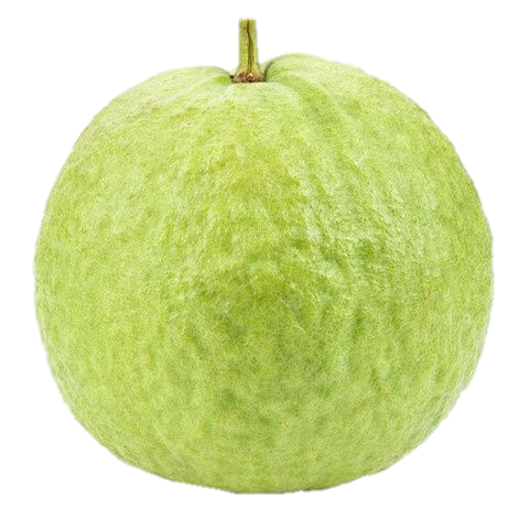 Guava-26