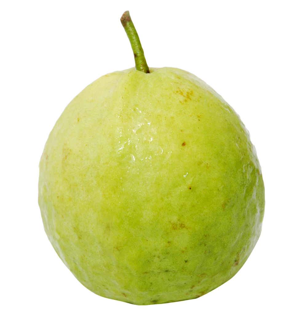 Single Guava Png