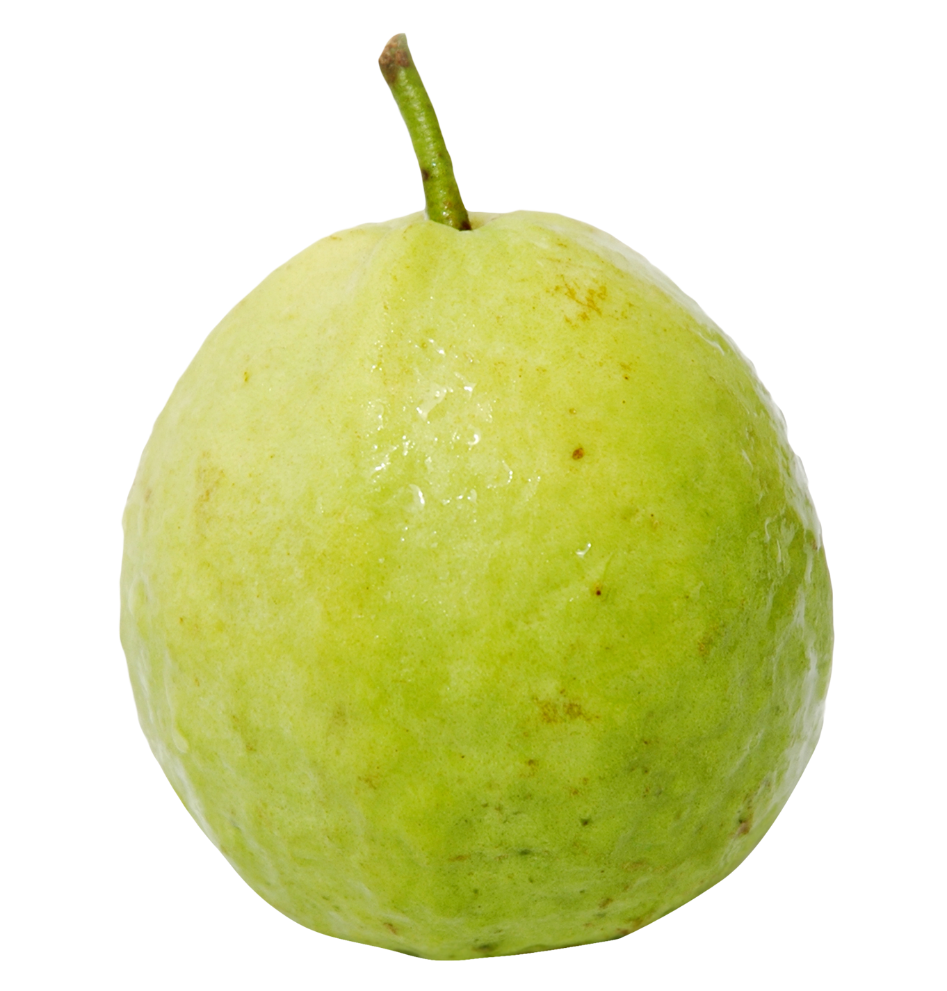 Guava-3