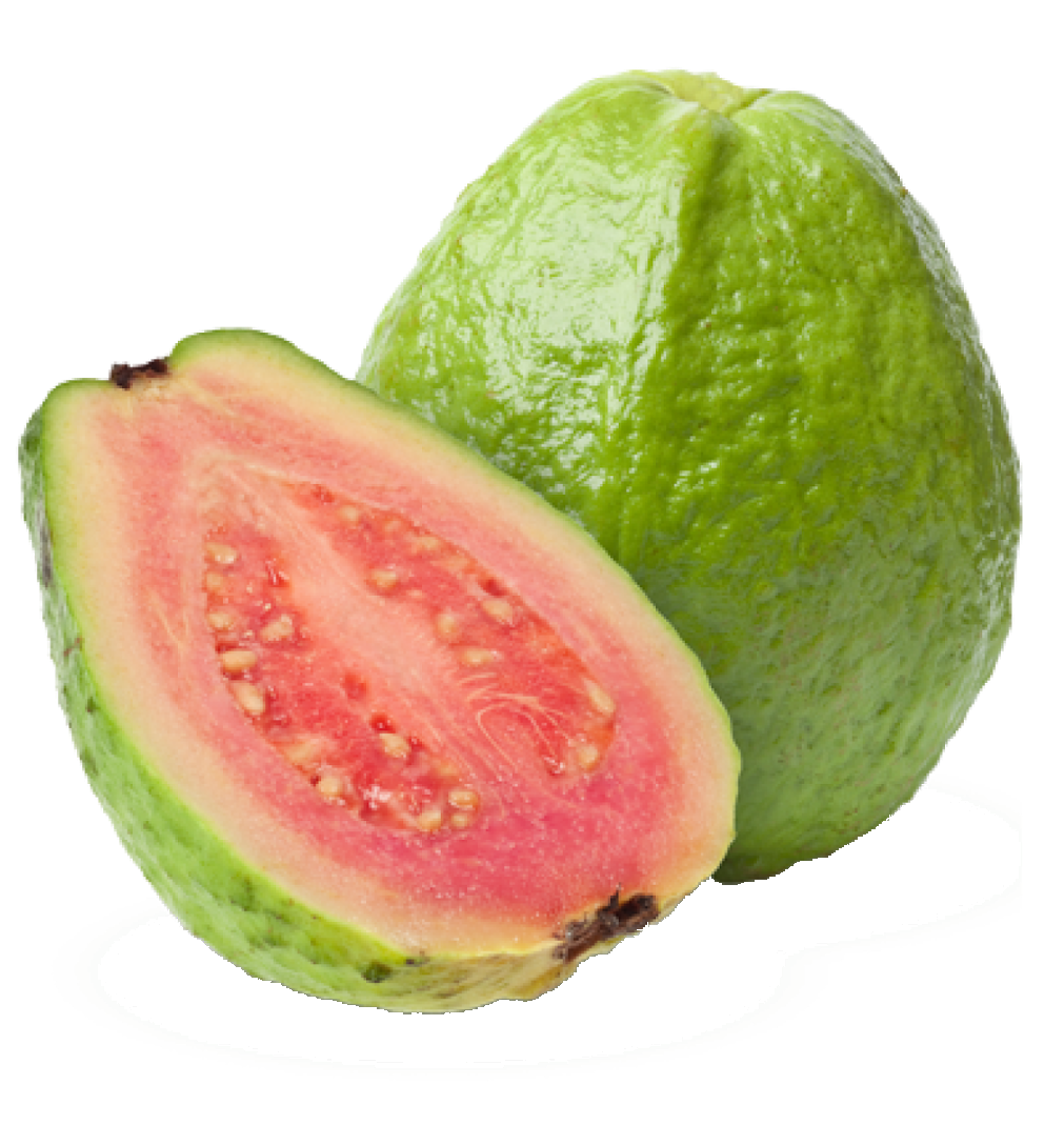Guava-4