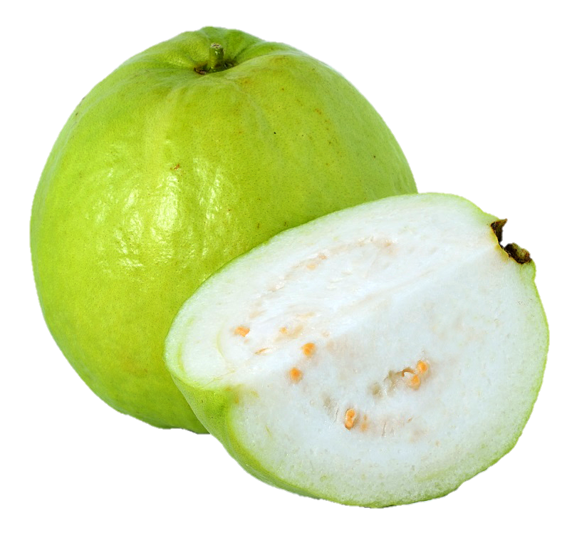 Guava-7