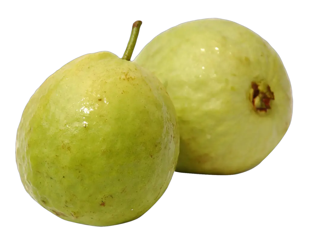 Transparent Guava Png