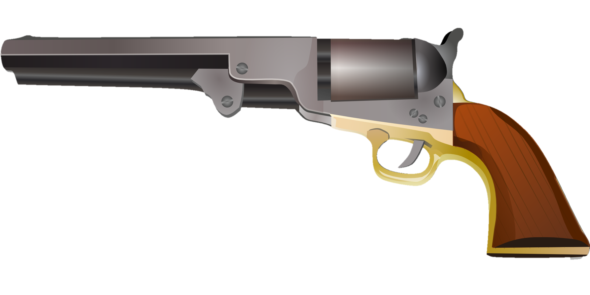 Gun-2