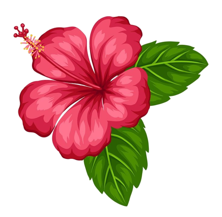 Hibiscus clipart Png