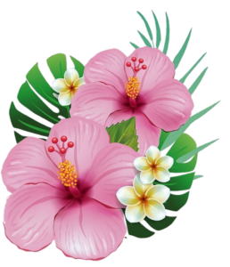 Hibiscus-10