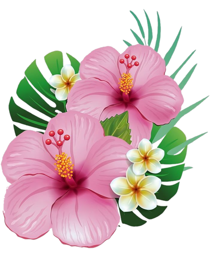 Hawaiian Hibiscus Png