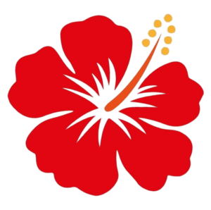 Hibiscus-12
