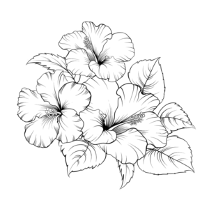 Hibiscus-13