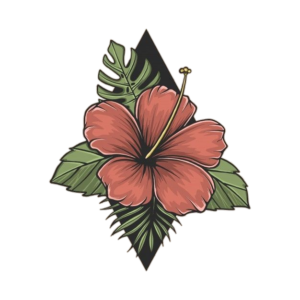 Hibiscus-15