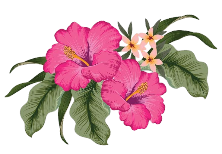 Aesthetic Hibiscus Png