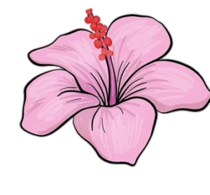 Hibiscus-19