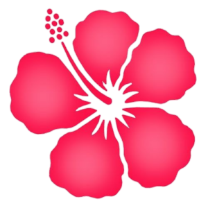 Hibiscus-25