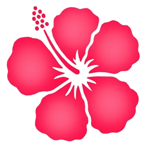Hibiscus Flower vector Png