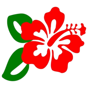 Hibiscus-27