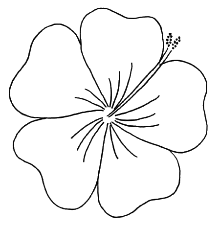 Hibiscus Flower Outline Png