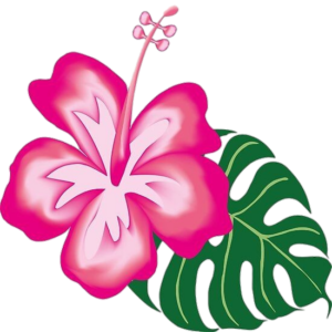 Hibiscus-30