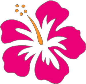 Hibiscus-31