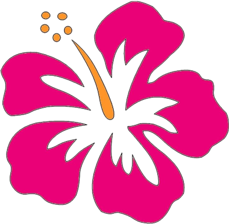 Pink Hibiscus Vector Png