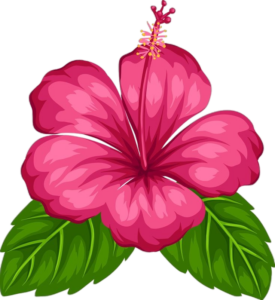 Hibiscus-6