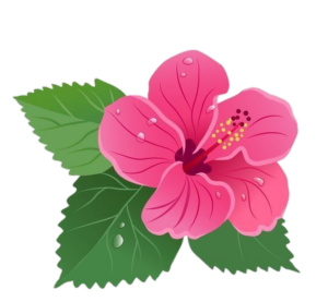 Hibiscus-8