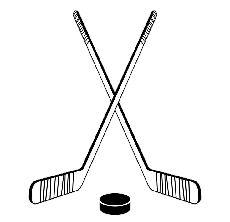 Hockey Stick and puck Vector Png