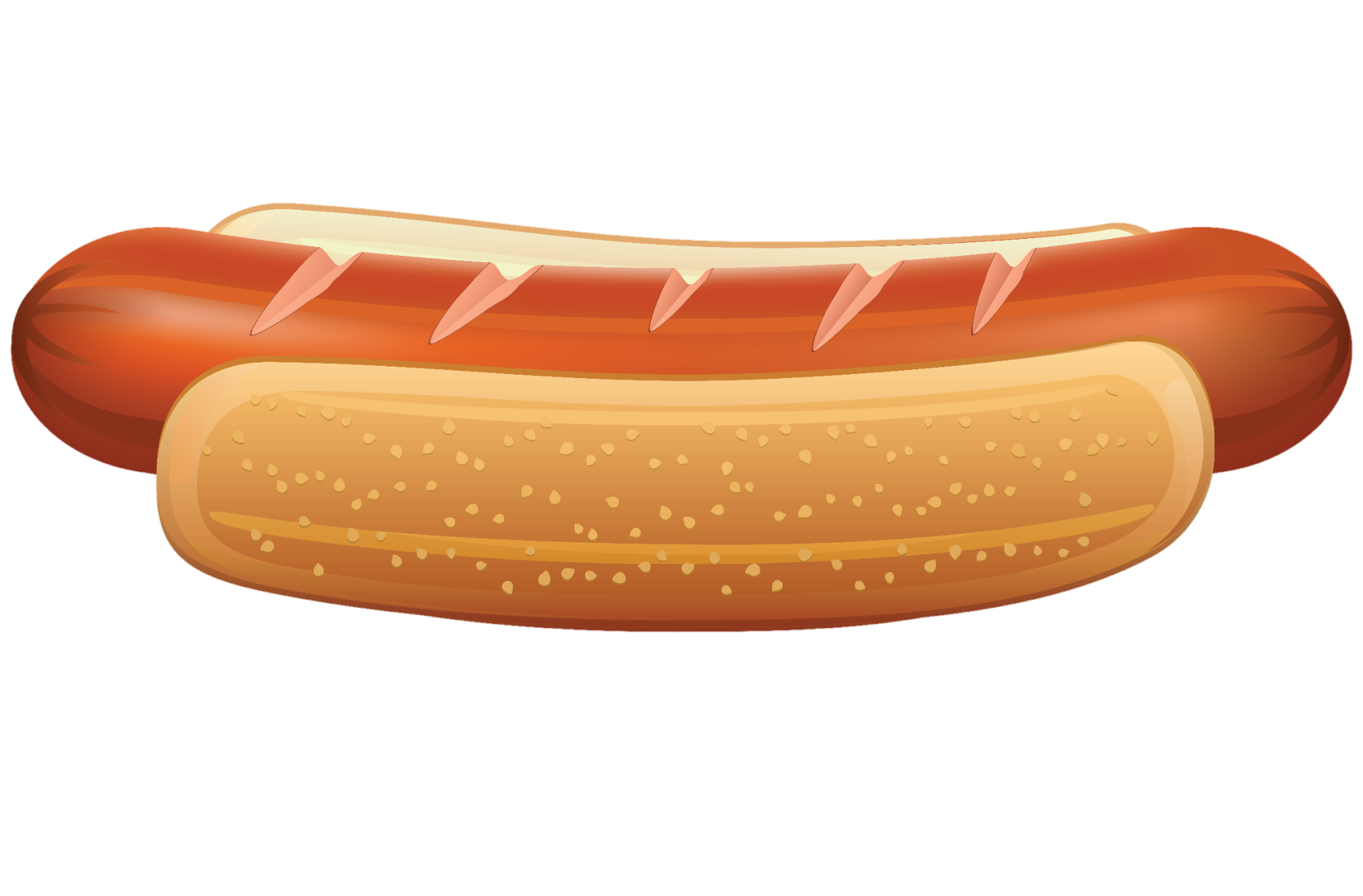 Hot-Dog-10