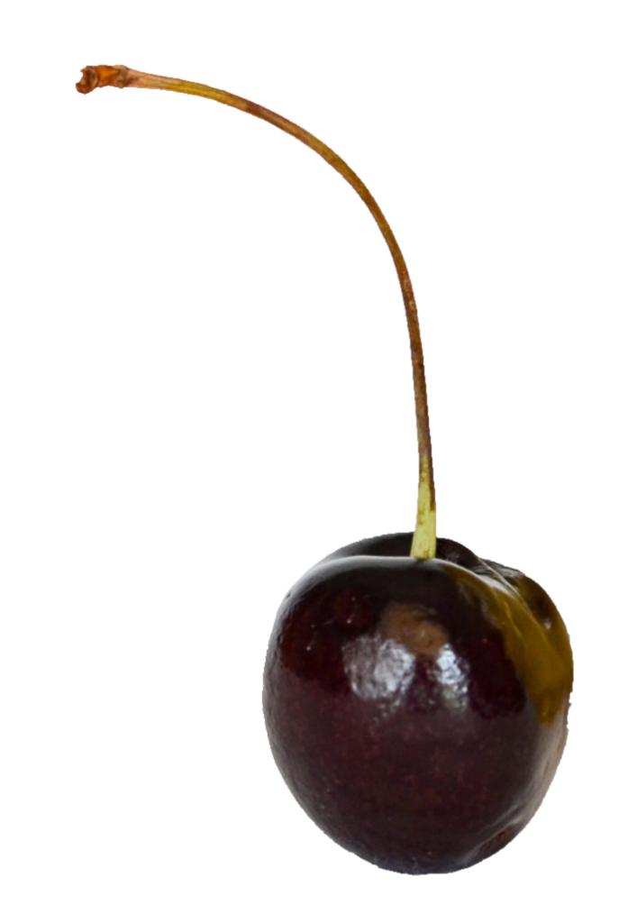 Black Cherry Fruit PNG