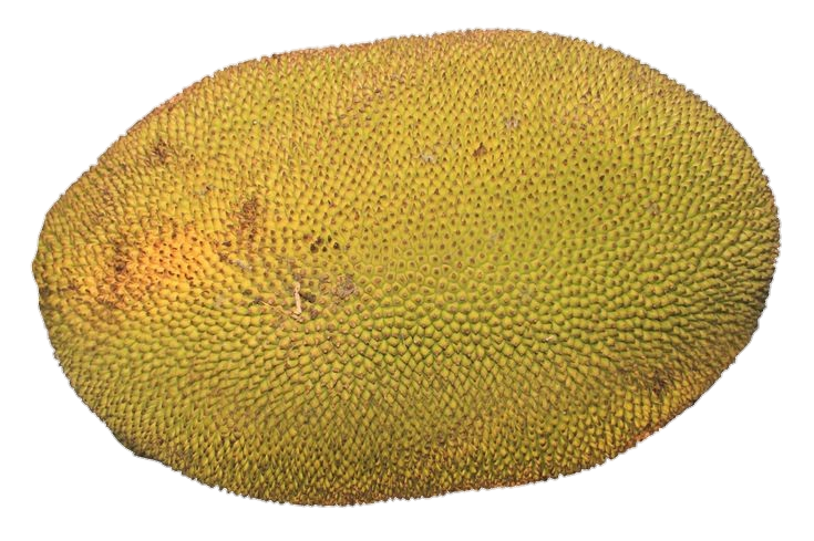 Jackfruit Png