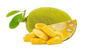 Jackfruit-10