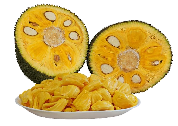 Yellow Jackfruit Png