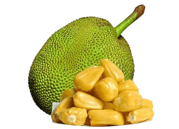 Transparent Jackfruit Png