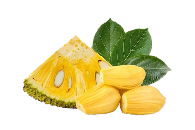 Jackfruit Png Image