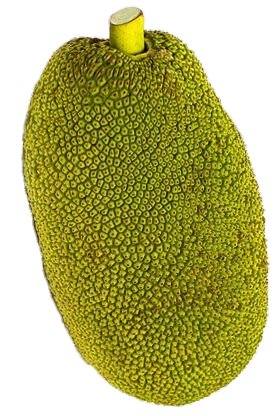 Single Jackfruit Png