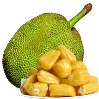 Jackfruit png image