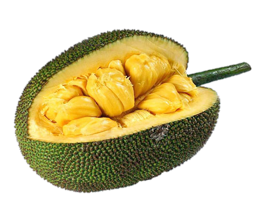 Jackfruit Png image