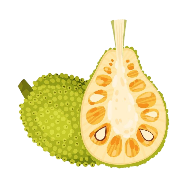 Jackfruit Illustration Png