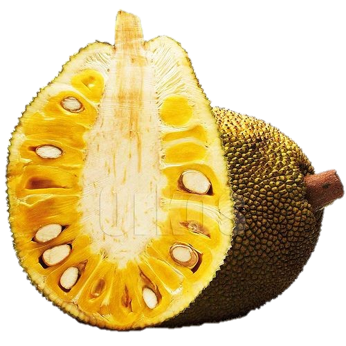 Yellow Jackfruit Png
