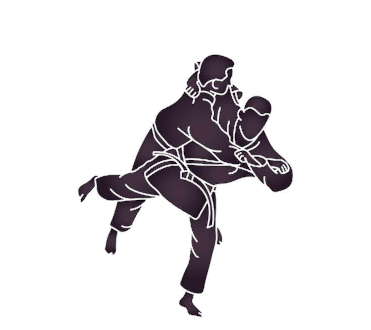 Judo fight Icon Png