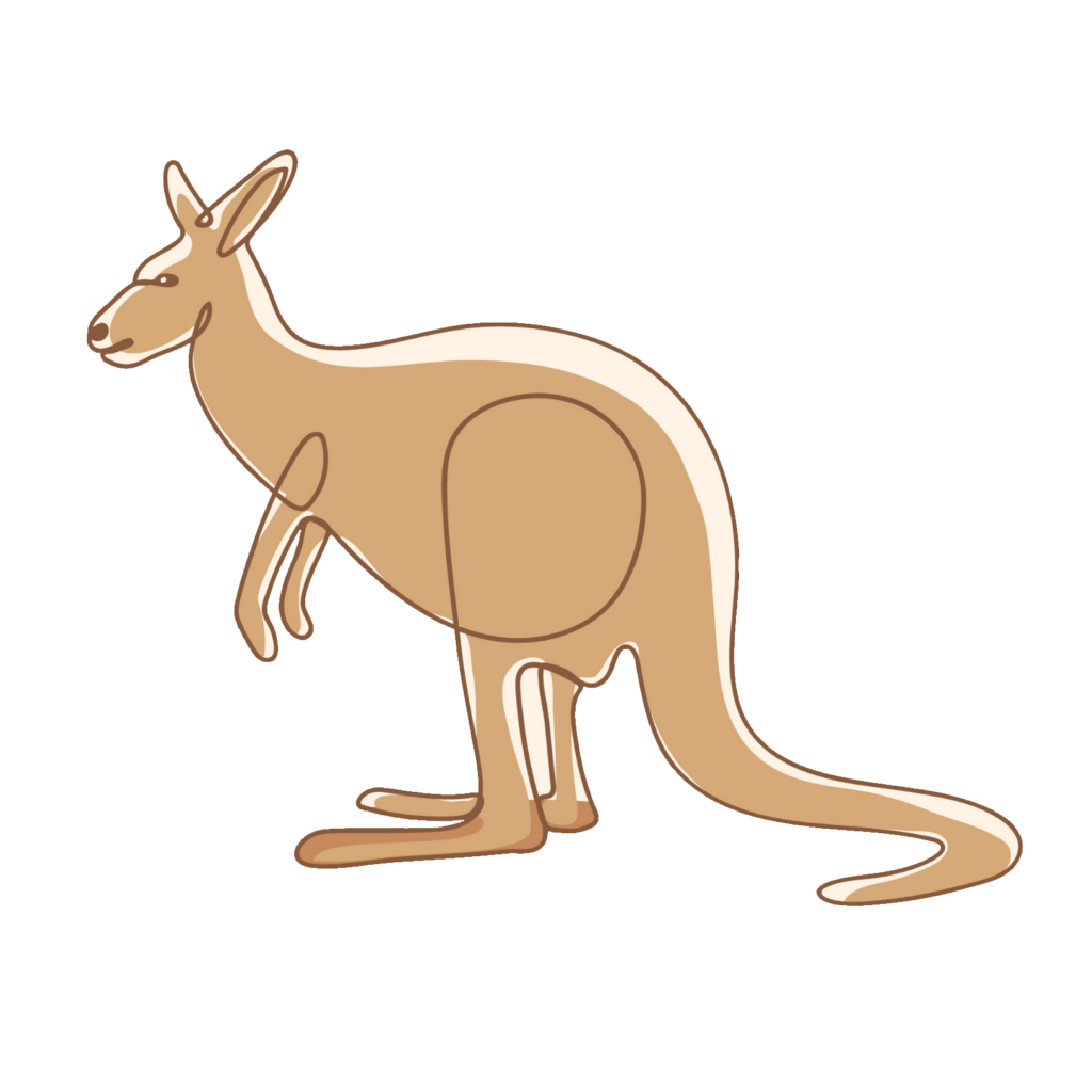 Kangaroo Drawing Png