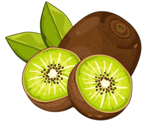 Kiwi Fruit clipart Png