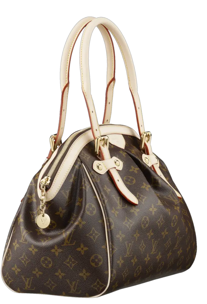 Lether Ladies bag Png