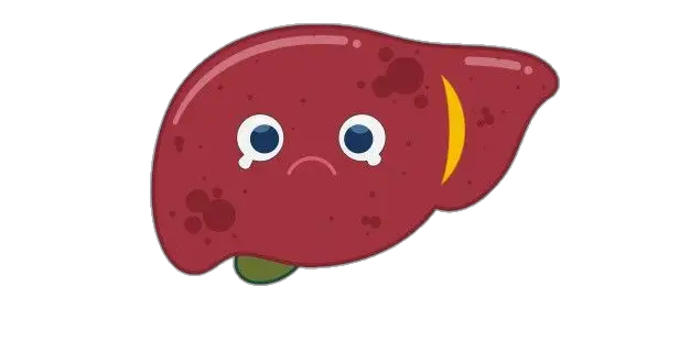 Sad Human Liver Clipart Png