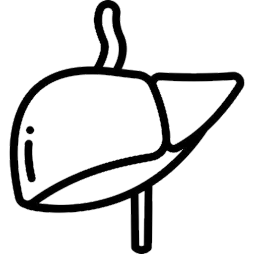 Human Liver Icon Png