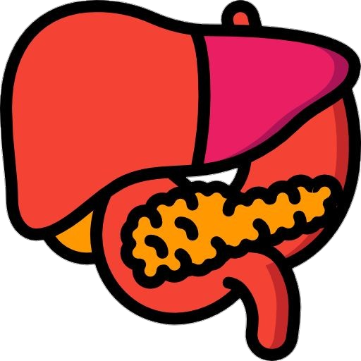 Human Liver System Clipart Png