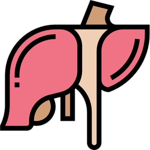 Human Liver Logo Png